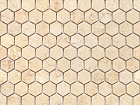 Botticino MAT hex 18x30x6 (ПУ)
